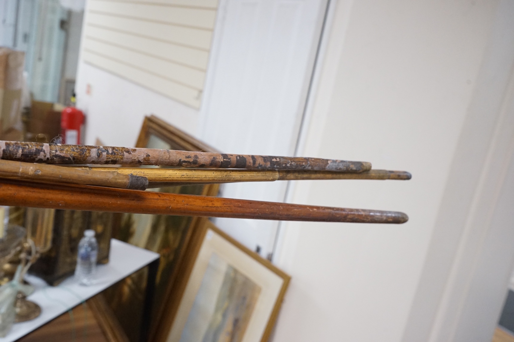 Five walking sticks to include two with rope work handles and one carved in the form of a dog's head, largest 94cm in length